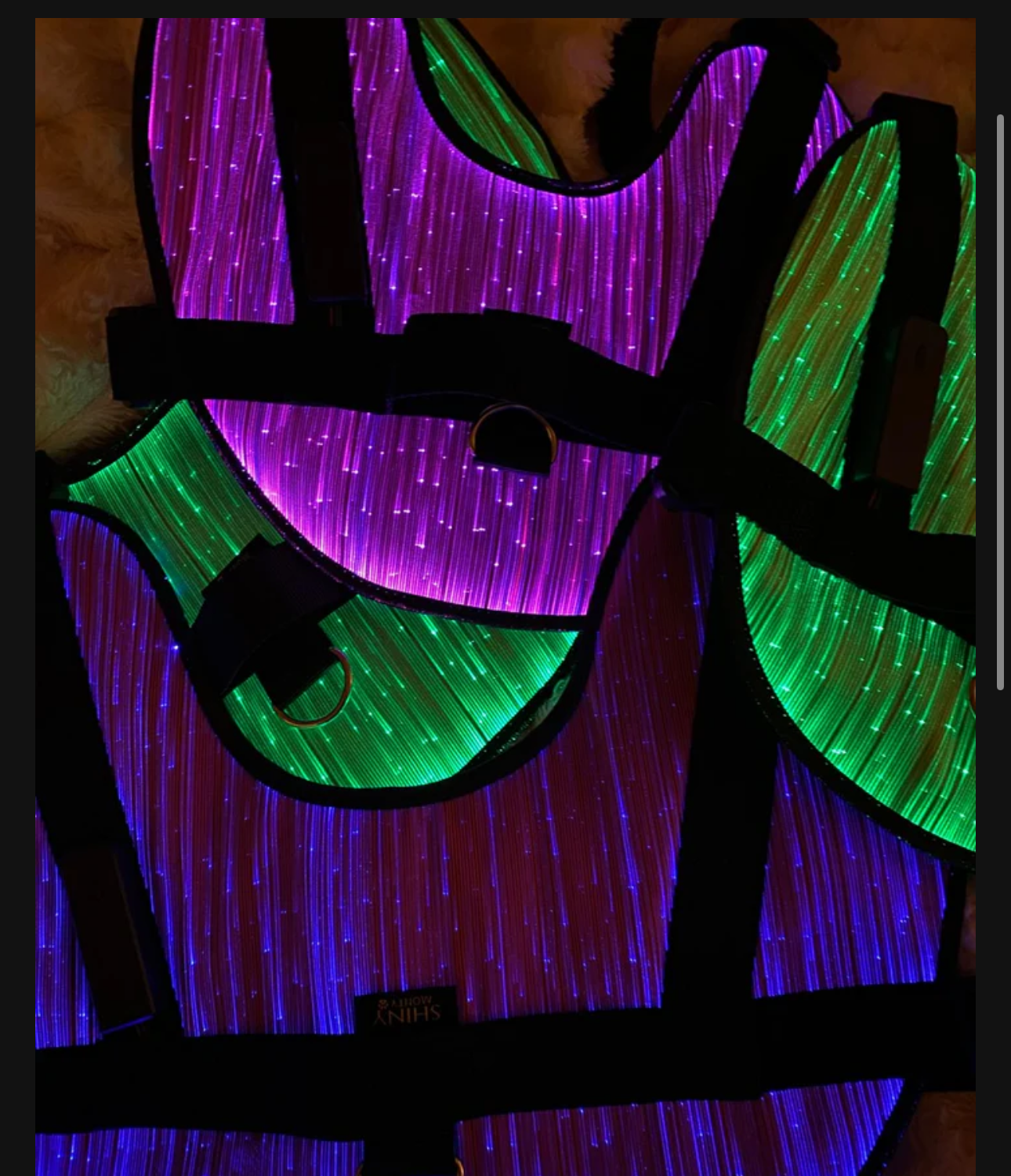 Vorbestellung ShinyMonty Geschirr Pink S