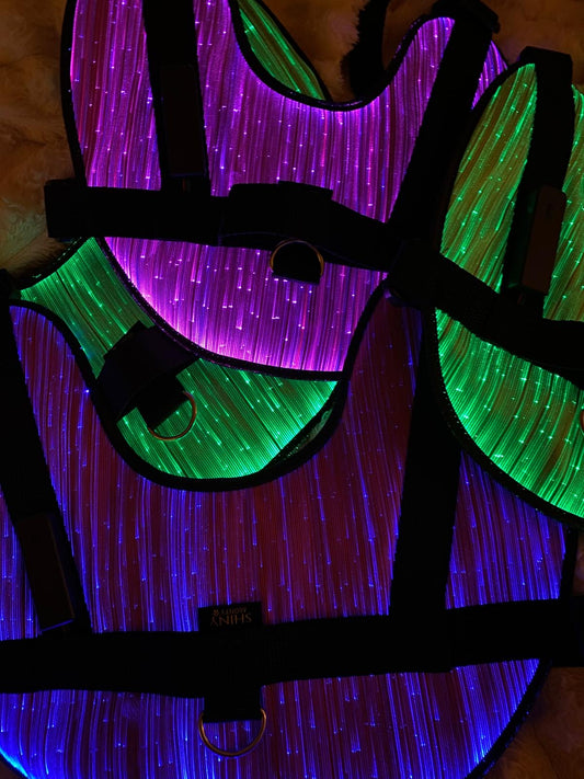 ShinyMonty LED Geschirr