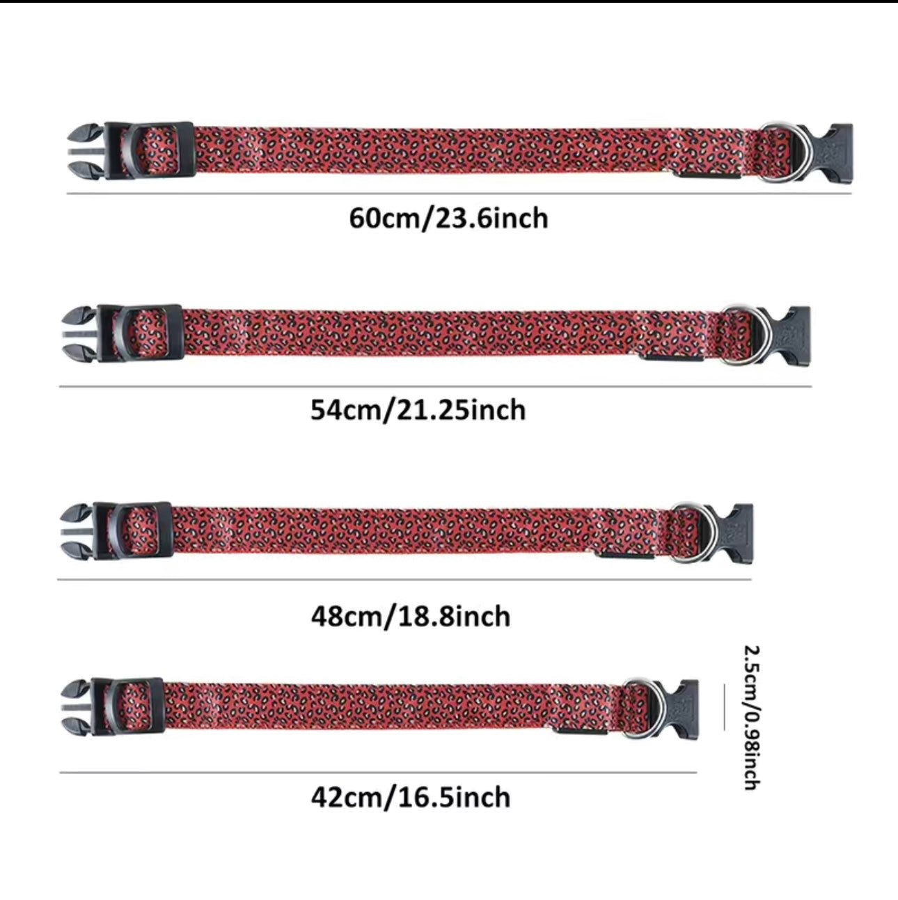 LED Leo Halsband für kleine bis große Hunde