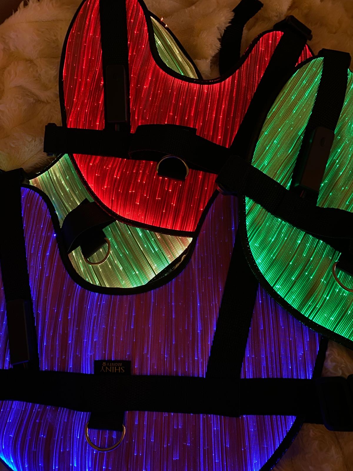 ShinyMonty LED Geschirr