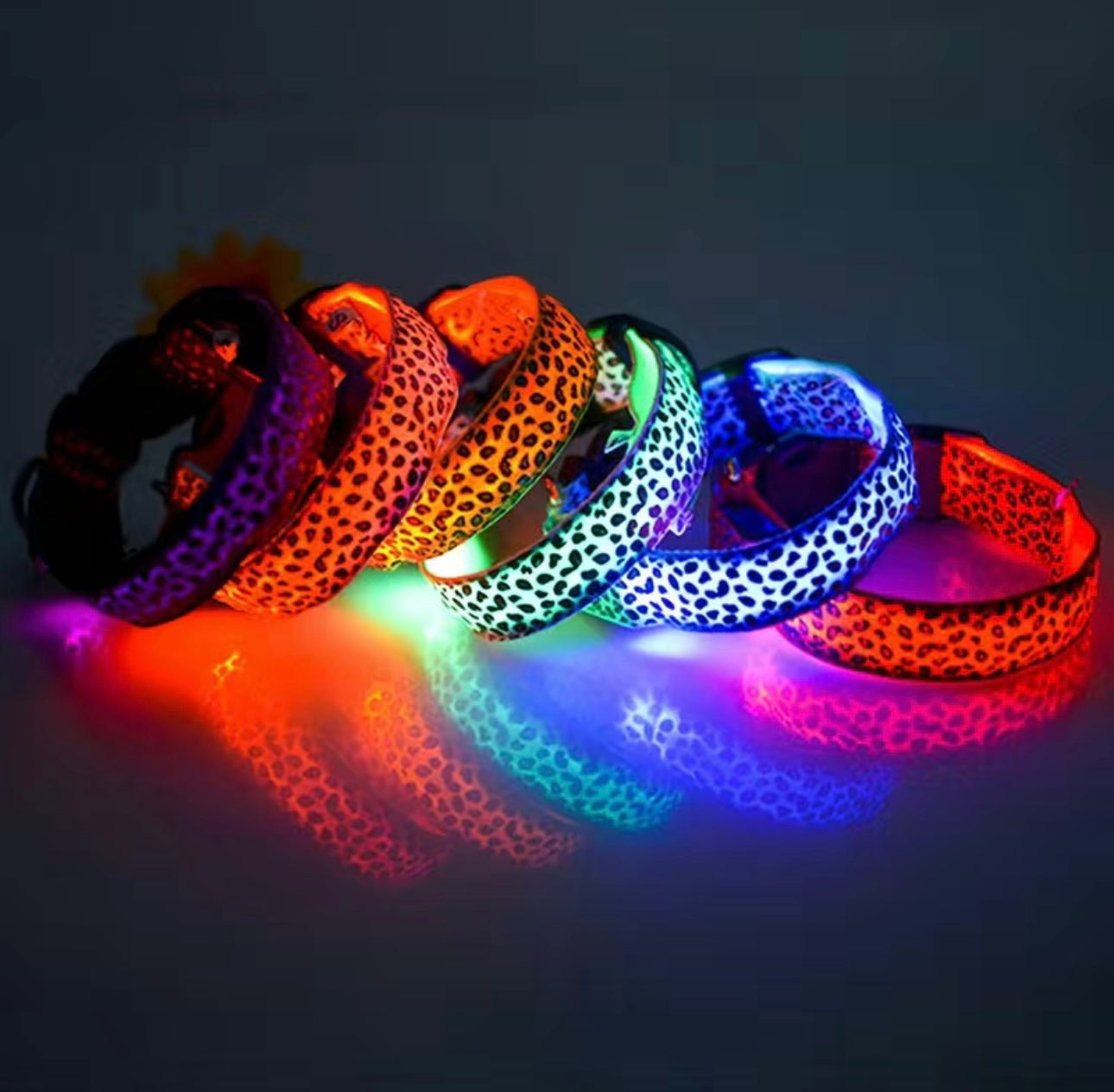 LED Leo Halsband für kleine bis große Hunde