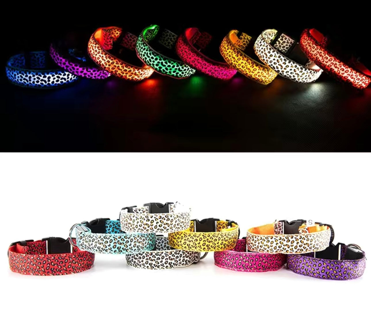 LED Leo Halsband für kleine bis große Hunde