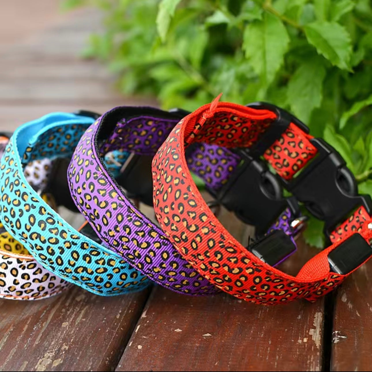 LED Leo Halsband für kleine bis große Hunde