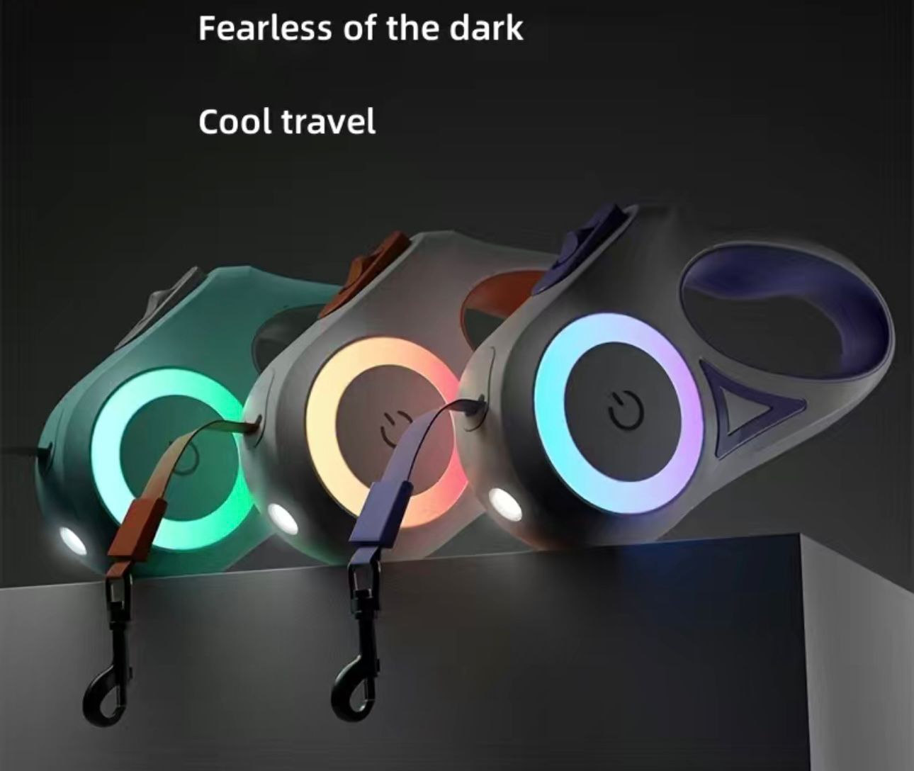 Stylische Flexi Leine mit Taschenlampenfunktion