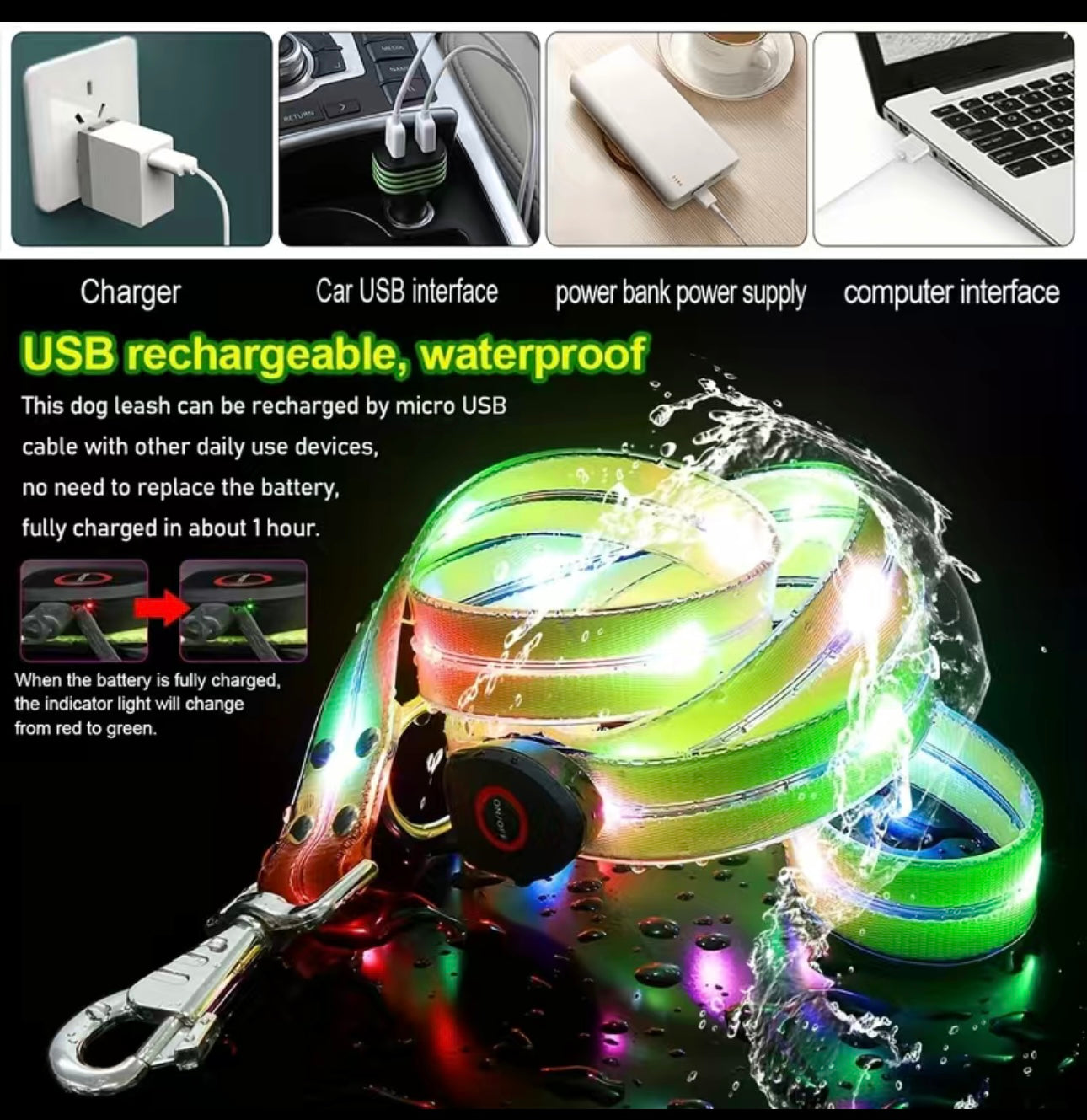 Wasserfeste LED Hundeleine