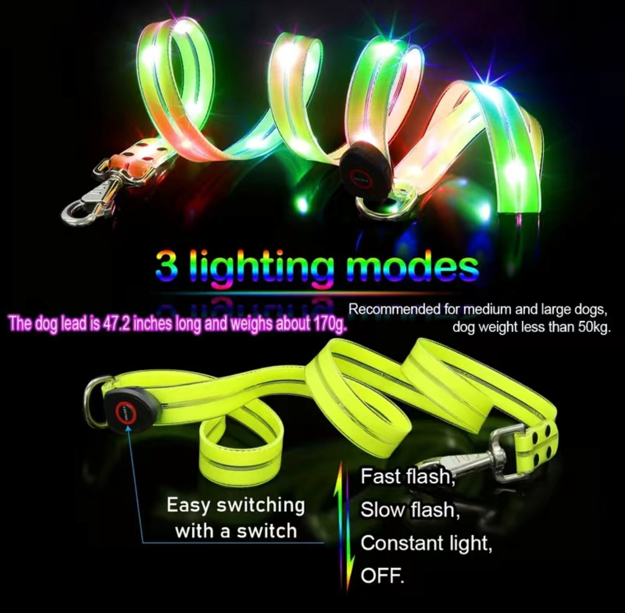 Wasserfeste LED Hundeleine