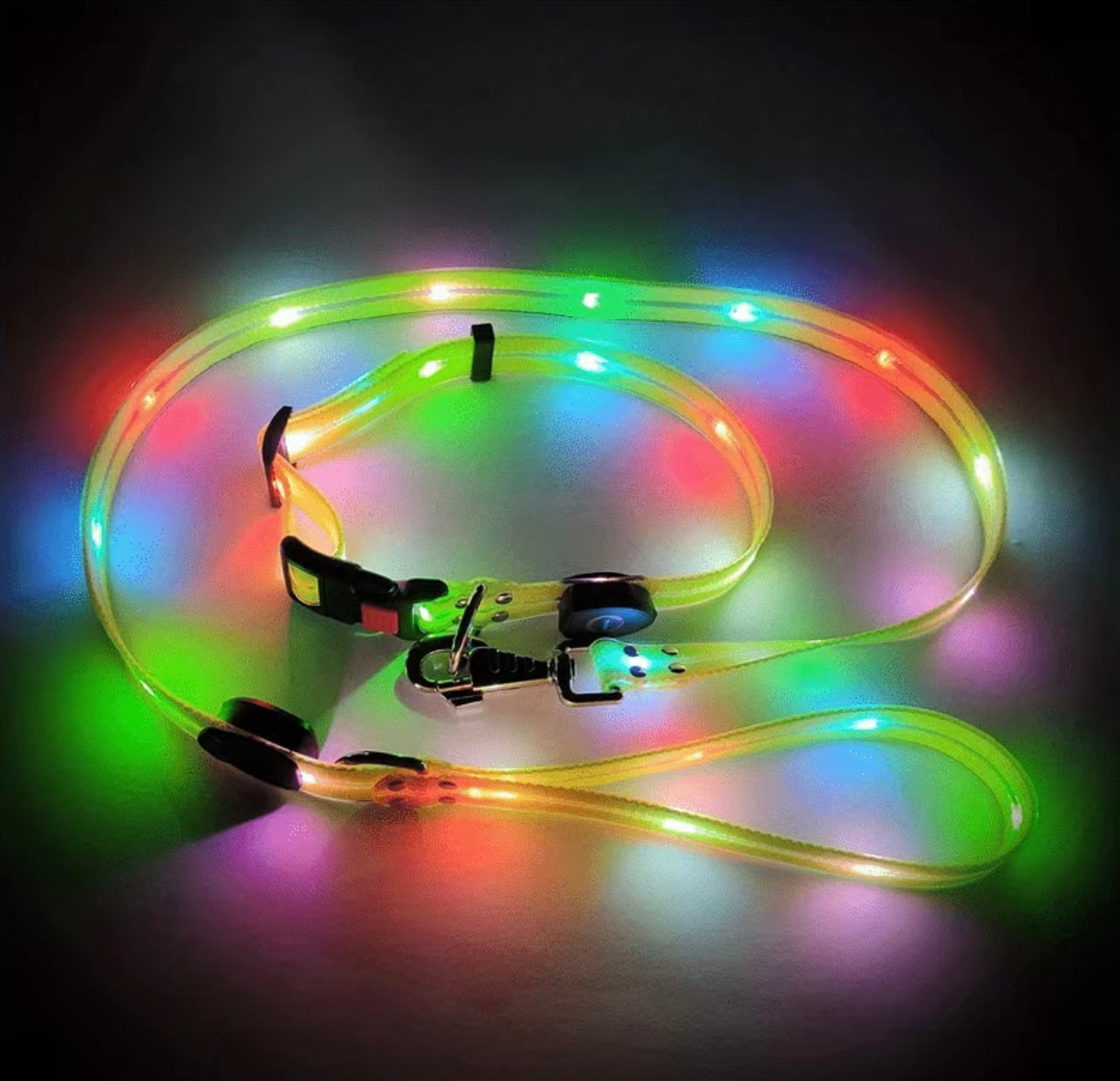 Wasserfeste LED Hundeleine