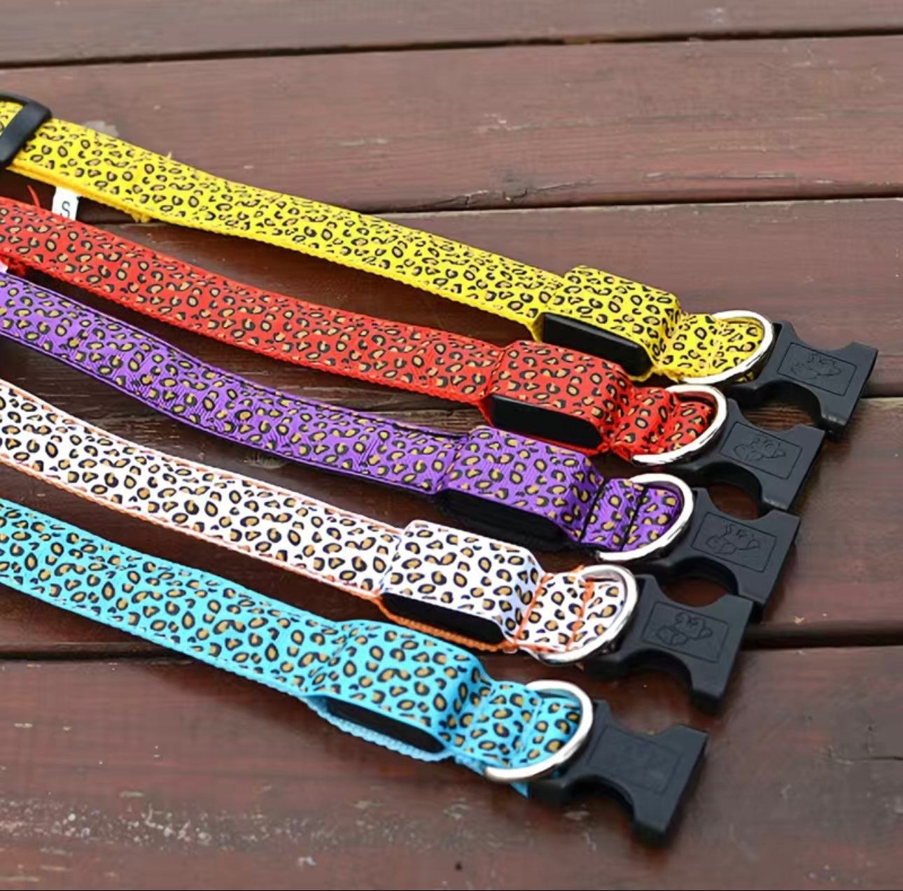 LED Leo Halsband für kleine bis große Hunde