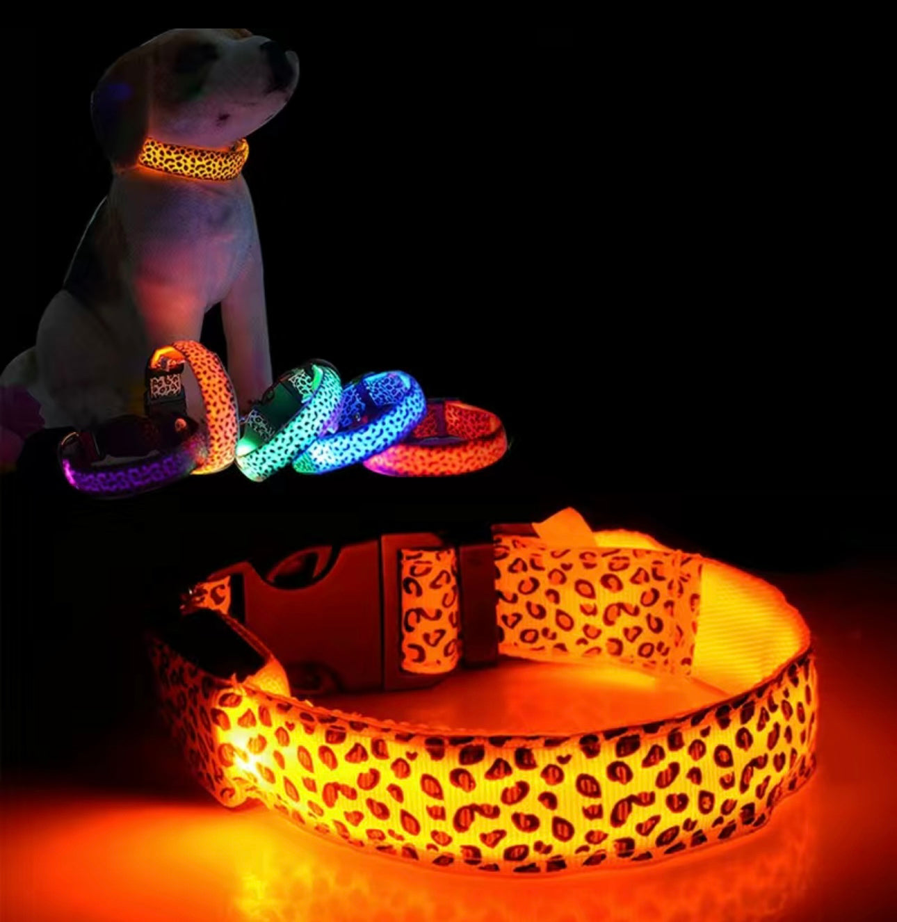 LED Leo Halsband für kleine bis große Hunde