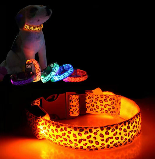 LED Leo Halsband für kleine bis große Hunde