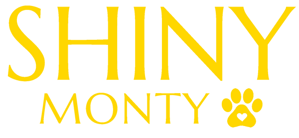 ShinyMonty